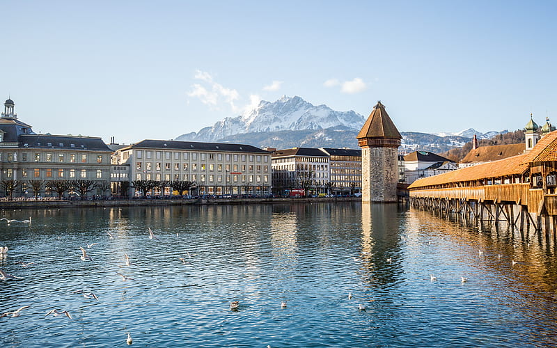 Kabel Bridge Lucerne Switzerland 2021 Travel, HD wallpaper