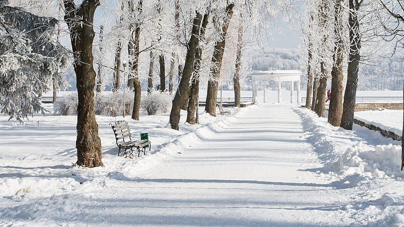 Lane in a park in winter, cold, winter, pretty, park, trees, snow, chill, urban, lane, nature, white, HD wallpaper