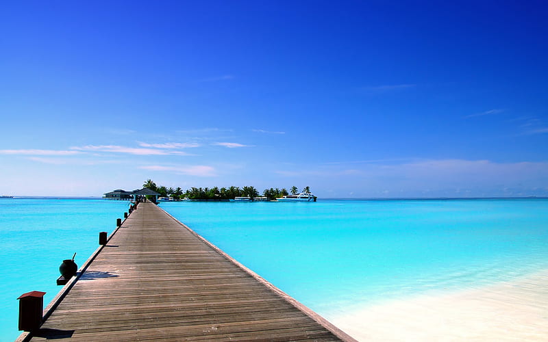tropical island, morning, palm trees, blue lagoon, Dhigurah Island, Maldives, HD wallpaper
