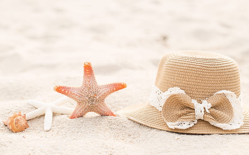 beach accessories, summer vacation horse, beach, sand, hat, starfish, seashells, HD wallpaper