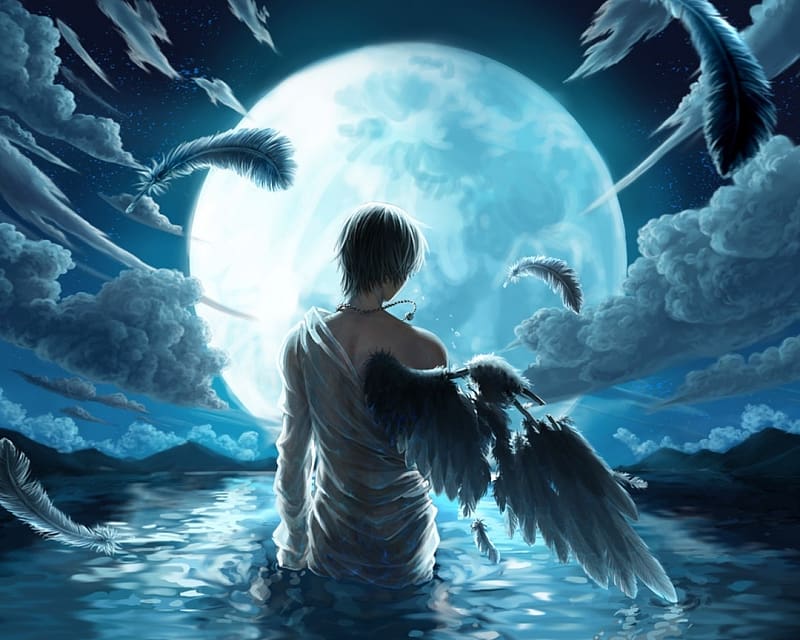 Fallen, angel, water, sea, night, blue, wings, man, feather, fantasy, moon, luna, HD wallpaper