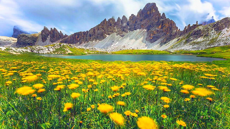Alpes Dolomites in Italy, mountains, flowers, dolomites, yellow, nature, spring, alpes, italy, HD wallpaper