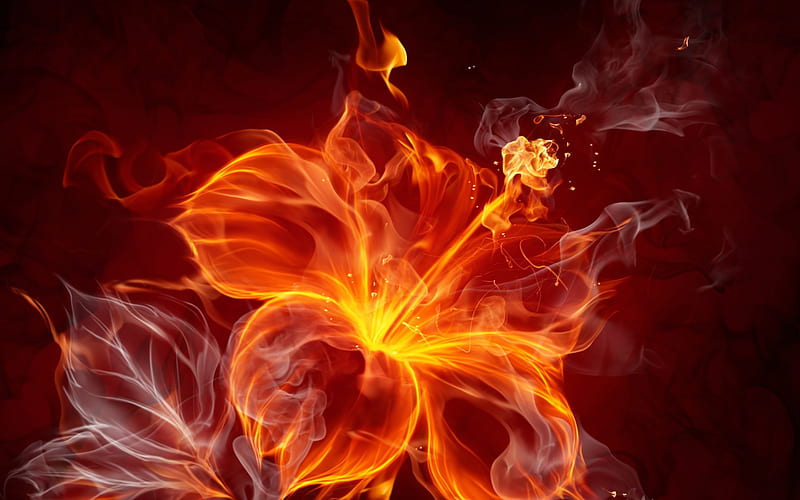 Opened Fire Flower, flower, colors, fire, abstract, HD wallpaper