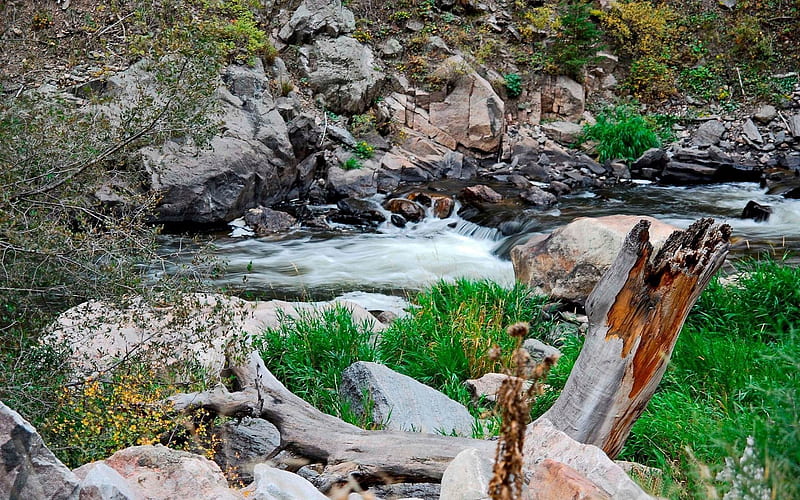 mountain creek 01-Nature rivers Landscape, HD wallpaper