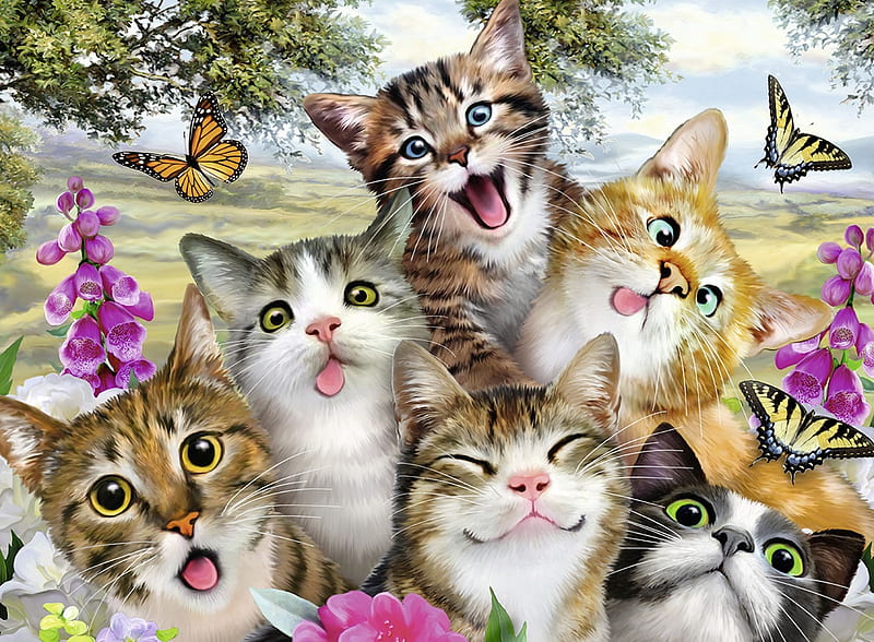 Cat Export, silliness, flowers, puzzle, butterflies, cats, HD wallpaper