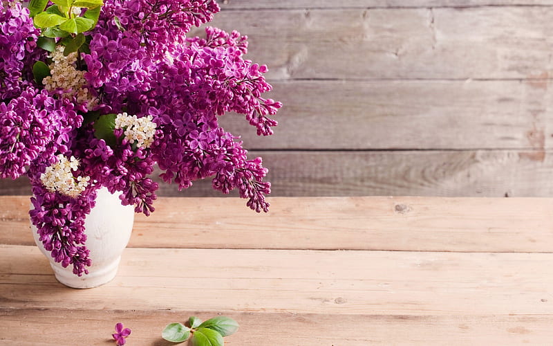 lilac, spring, purple flowers, beautiful flowers, spring flowers, HD wallpaper