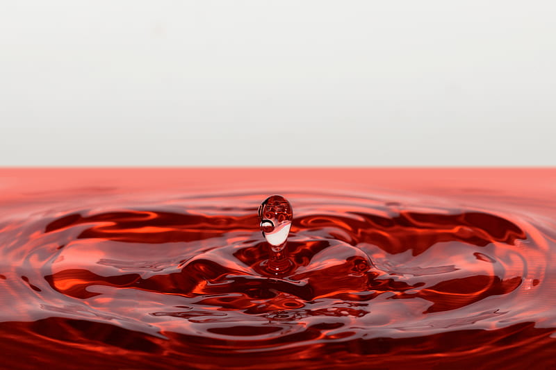 drop, splash, macro, liquid, red, HD wallpaper