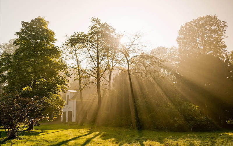 gods rays-Netherlands Landscape, HD wallpaper