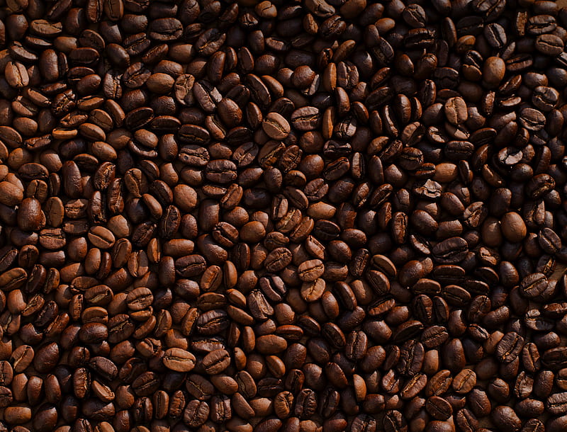 coffee, coffee bean, grains, HD wallpaper