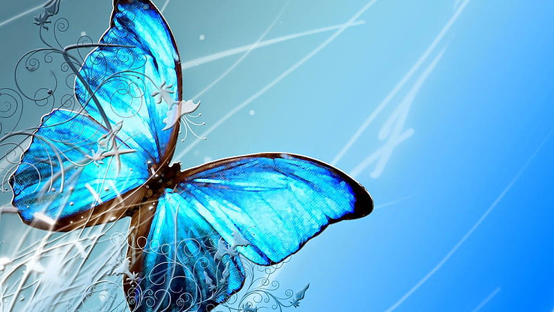 Blue Butterfly With Blue And Gray Background Birds, HD wallpaper