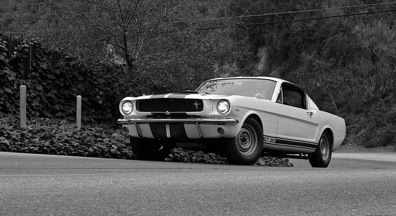 1965 Ford Mustang Shelby Gt350 Prototype Front Car Hd Wallpaper Peakpx 2279