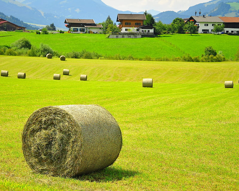Austria, farm, field, grass, houses, landscape, nature, village, HD wallpaper