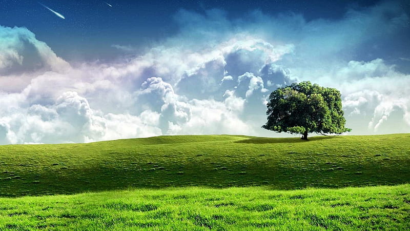 Samotne drzewo i chmury, krajobraz, drzewo, chmury, niebo, HD wallpaper