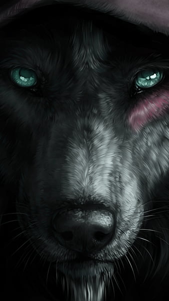 Wolf Dark Background 4K Wallpaper iPhone HD Phone #4930f, dark