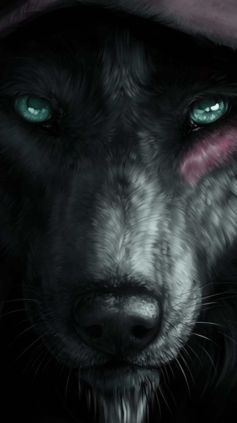 Wolf, black, eyes, HD phone wallpaper