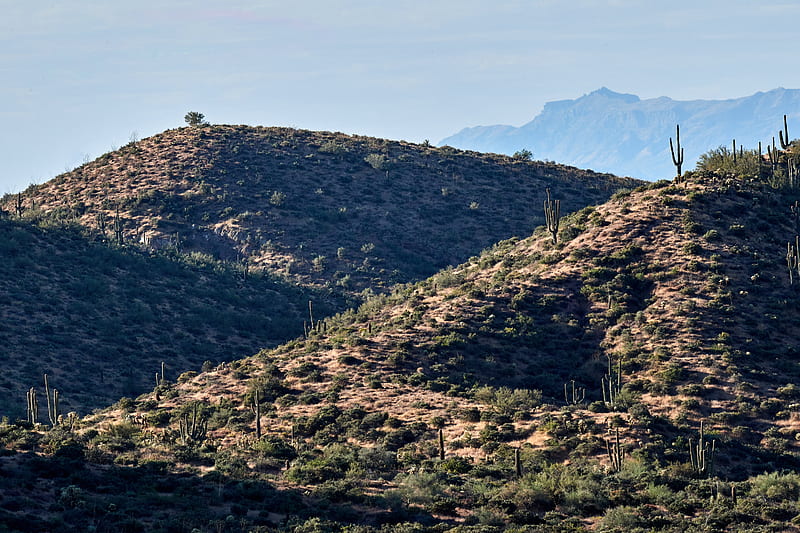mountains, hill, cacti, grass, HD wallpaper