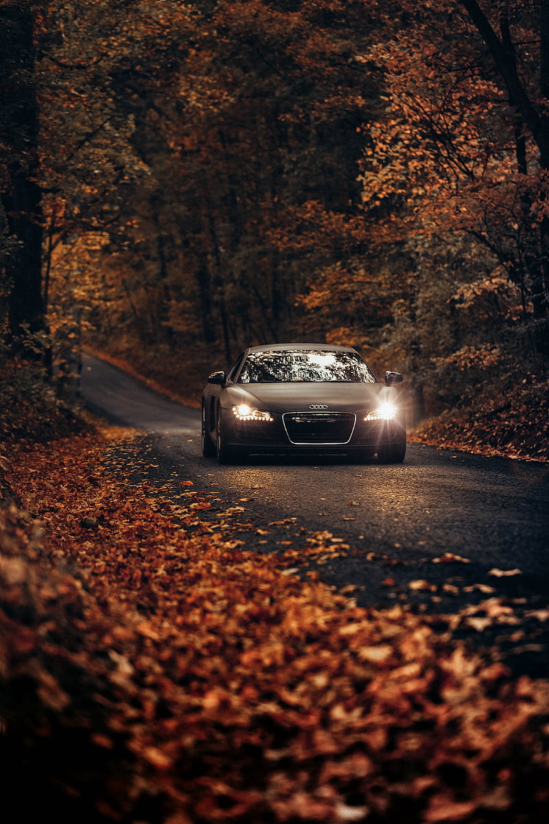 Audi R8, car, plus, civic, sport, lancer, HD phone wallpaper