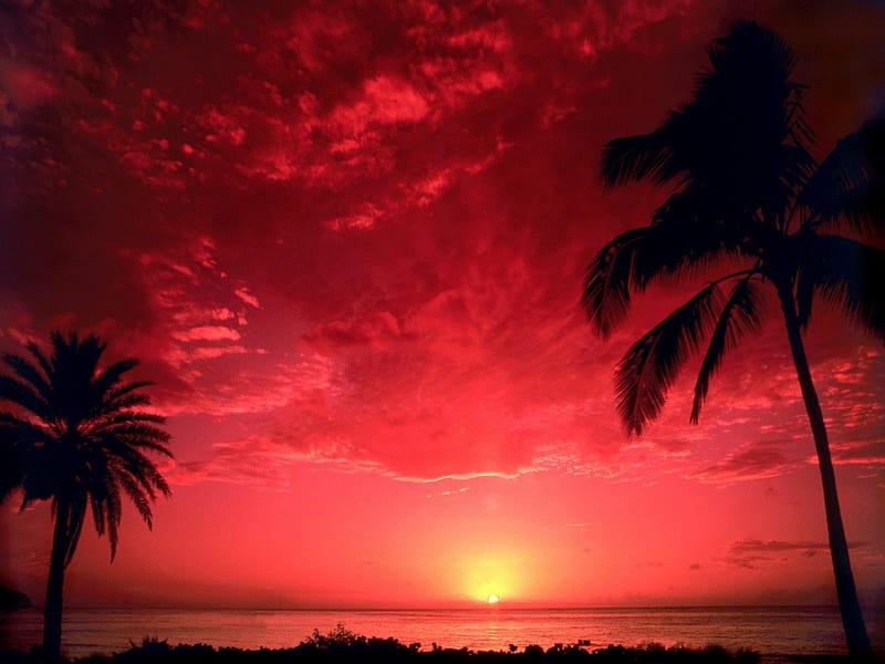 red sunset cocoa beach, beach, sky, landscape, HD wallpaper