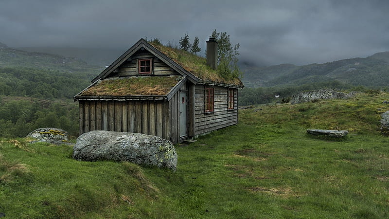 grass roof on a wooden cabin, roof, grass, cabin, wood, meadow, fog, HD wallpaper