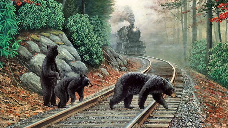 Bears, Bahnschiene, Familie, Zug, Deutschland, HD wallpaper Bears, Bahnschiene, Familie, Zug, Deutschland, HD wallpaper
