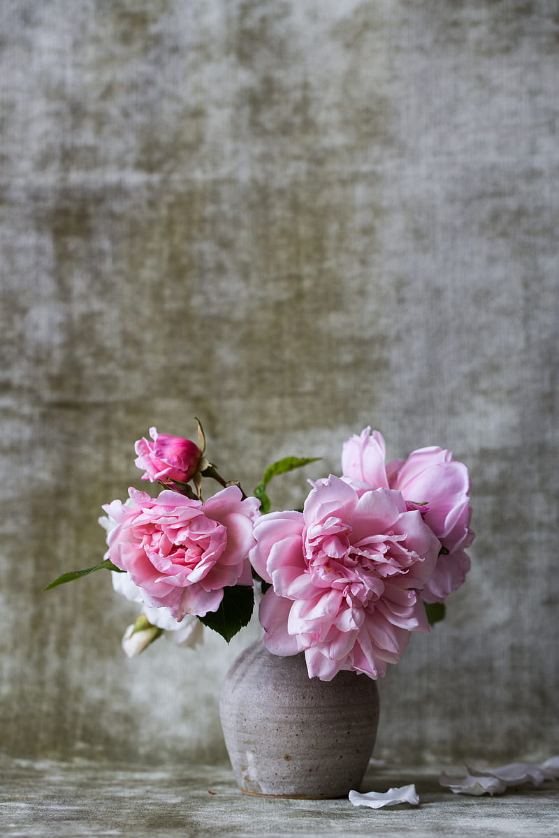 pink flowers on gray ceramic vase, HD phone wallpaper
