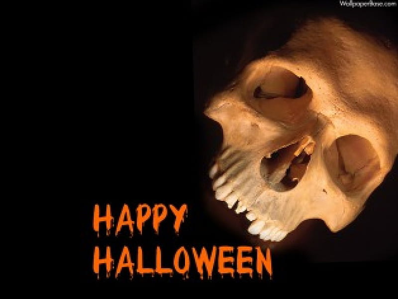 Happy Halloween , october 31, orange, holliday, scary, black, skull, HD wallpaper