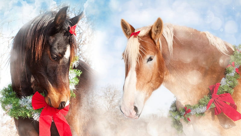 Christmas Horses, feliz navidad, christmas, ranch, ribbons, horses, winter, sweet, farm, tinsels, fir, spruce, HD wallpaper