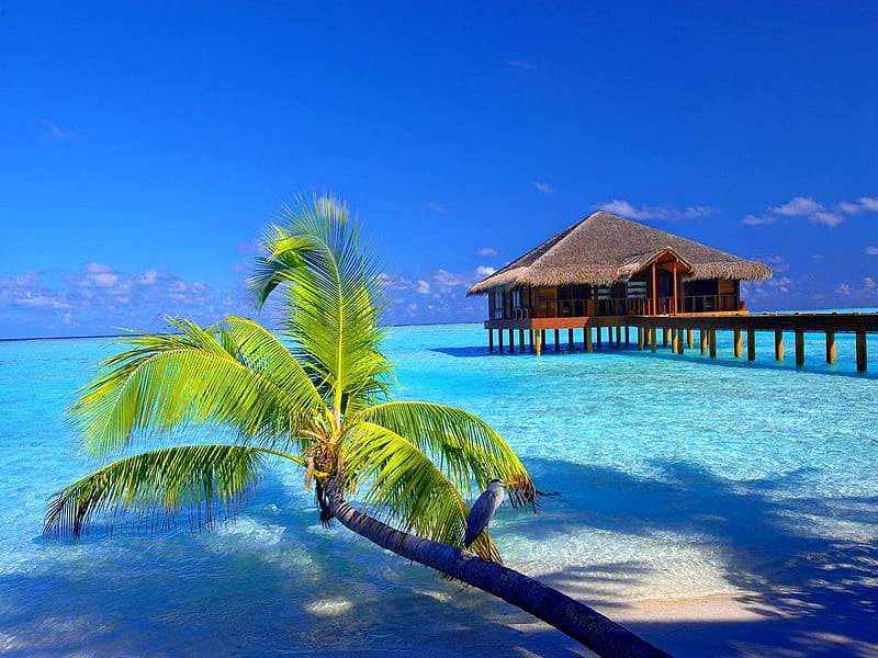 Tropical paradise, hut, bungalow, palm, clouds, sea, beach, reflection, tropics, blue, rest, vacation, exotic, holiday, ocean, pier, relax, sky, water, paradise, nature, tropical, palm tree, sands, HD wallpaper