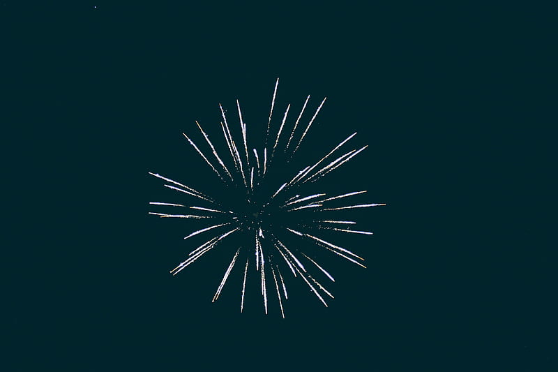 salute, fireworks, night, sparks, celebration, HD wallpaper