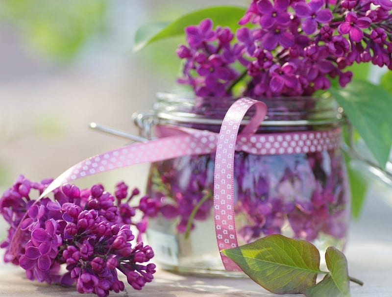 Beautiful Lilacs Still Life Flowers Vase Bonito Lilacs Hd Wallpaper Peakpx