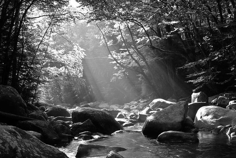 THE SMOKEY MOUNTAINS TRAIL, forest, stream, travel, black and white, trees rocks, stones, water, smokey mountains, river, landscape, HD wallpaper