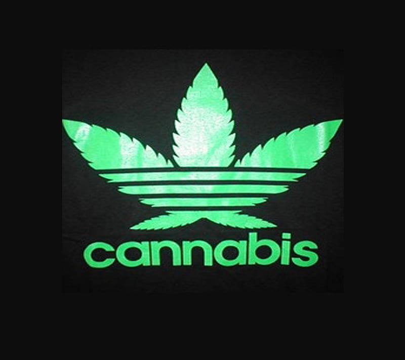 cannabis, adidas, srbija, HD wallpaper
