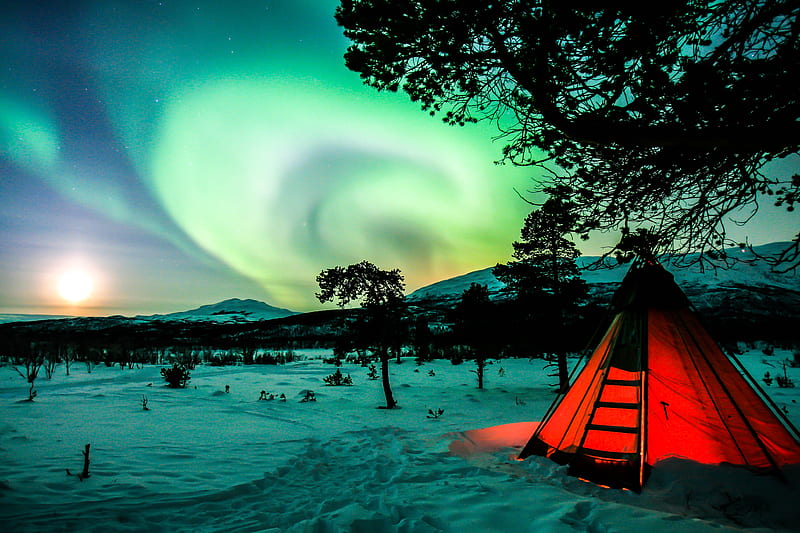 tent, night, northern lights, winter, camping, HD wallpaper