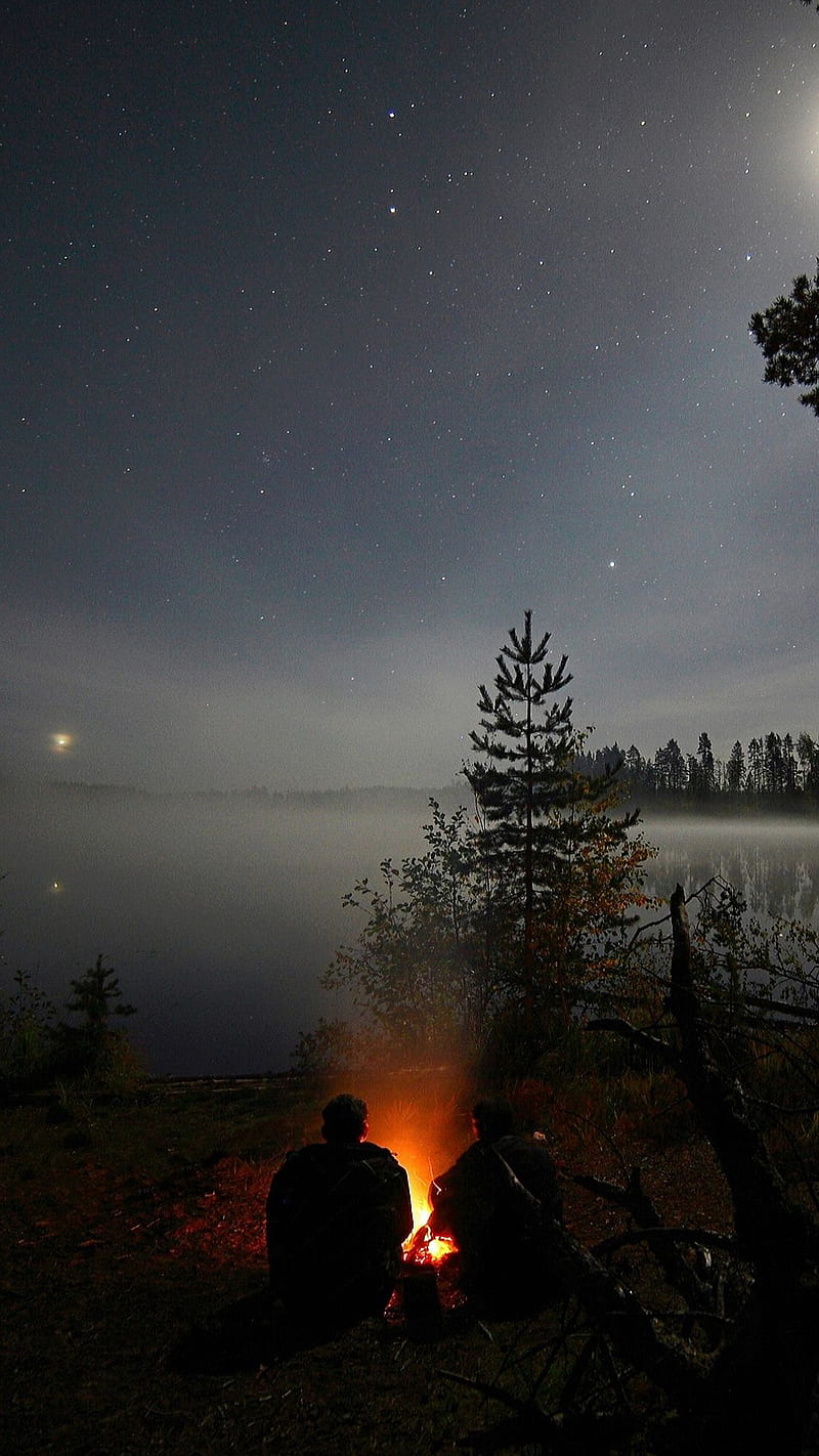 Camping Fire Forest Wallpaper Download  MOONAZ
