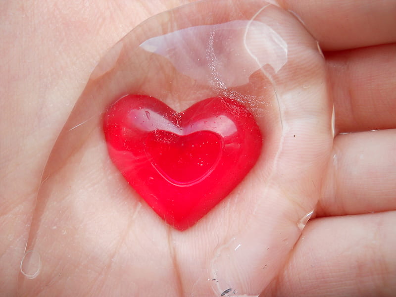 Spring in heart, hand, ice, fingers, heart, HD wallpaper