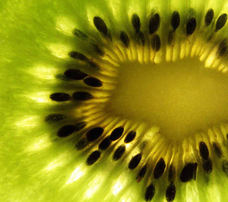 Kiwi, fruit, green, HD wallpaper