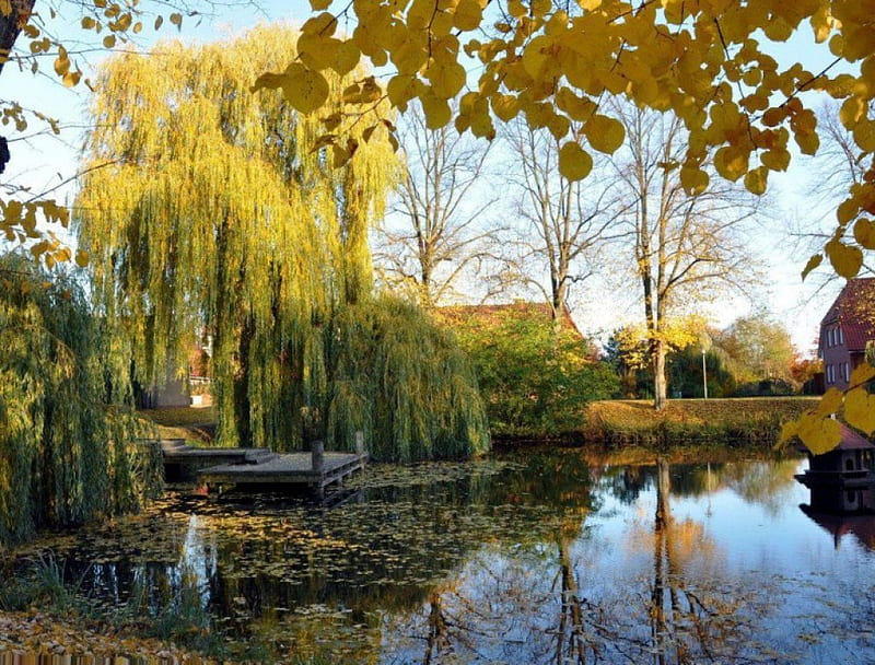WILLOW RETREAT, grass, bridges, homes, trees, leaves, water, picnic spots, ponds, reflections, weeping willows, HD wallpaper