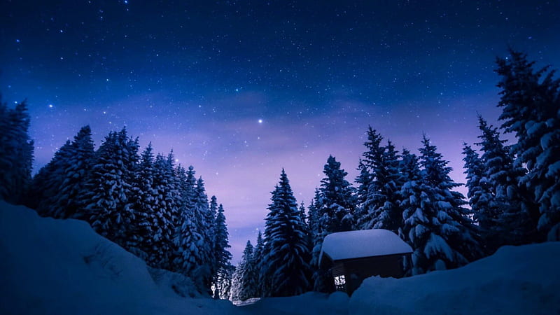 Winter night, stars, cottage, bonito, trees, sky, winter, mountain, snow, night, frost, HD wallpaper