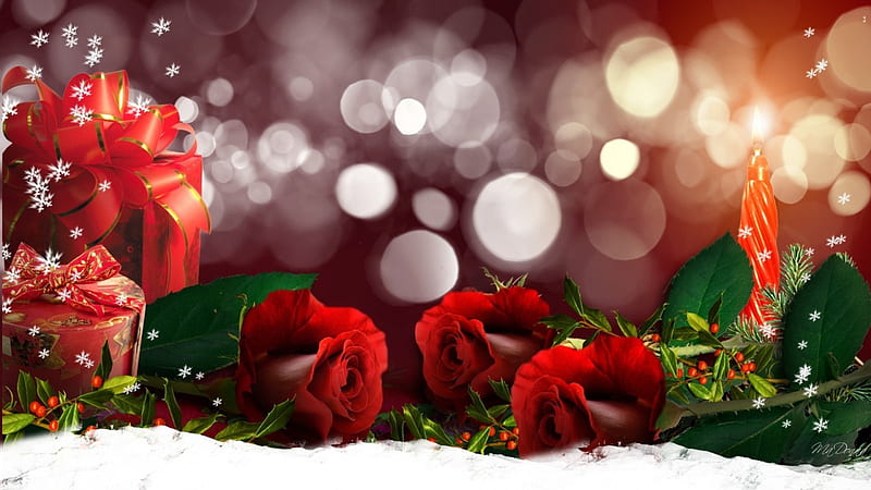 Gifts in the Snow, red roses, candle, Christmas, holiday, gift, sparkle, bokeh, snow, presents, HD wallpaper