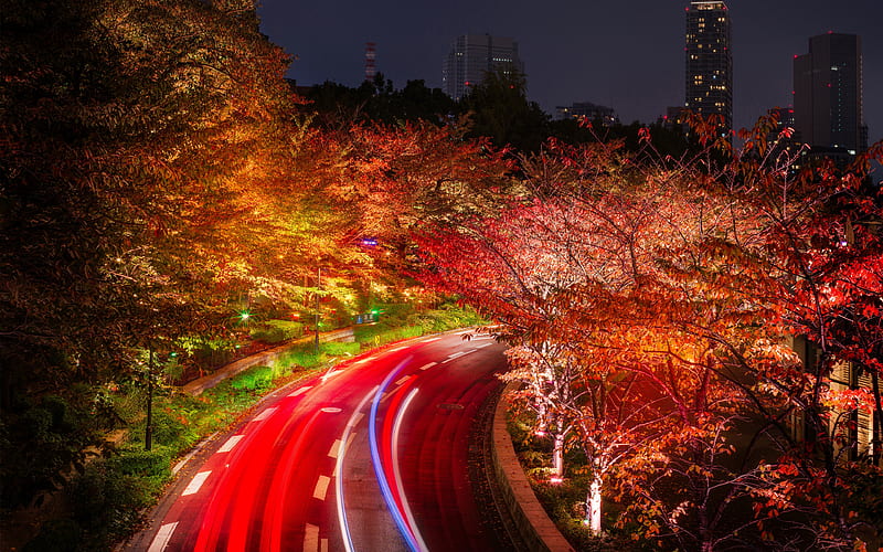 Tokyo autumn, roads, traffic lights, japan, Asia, HD wallpaper