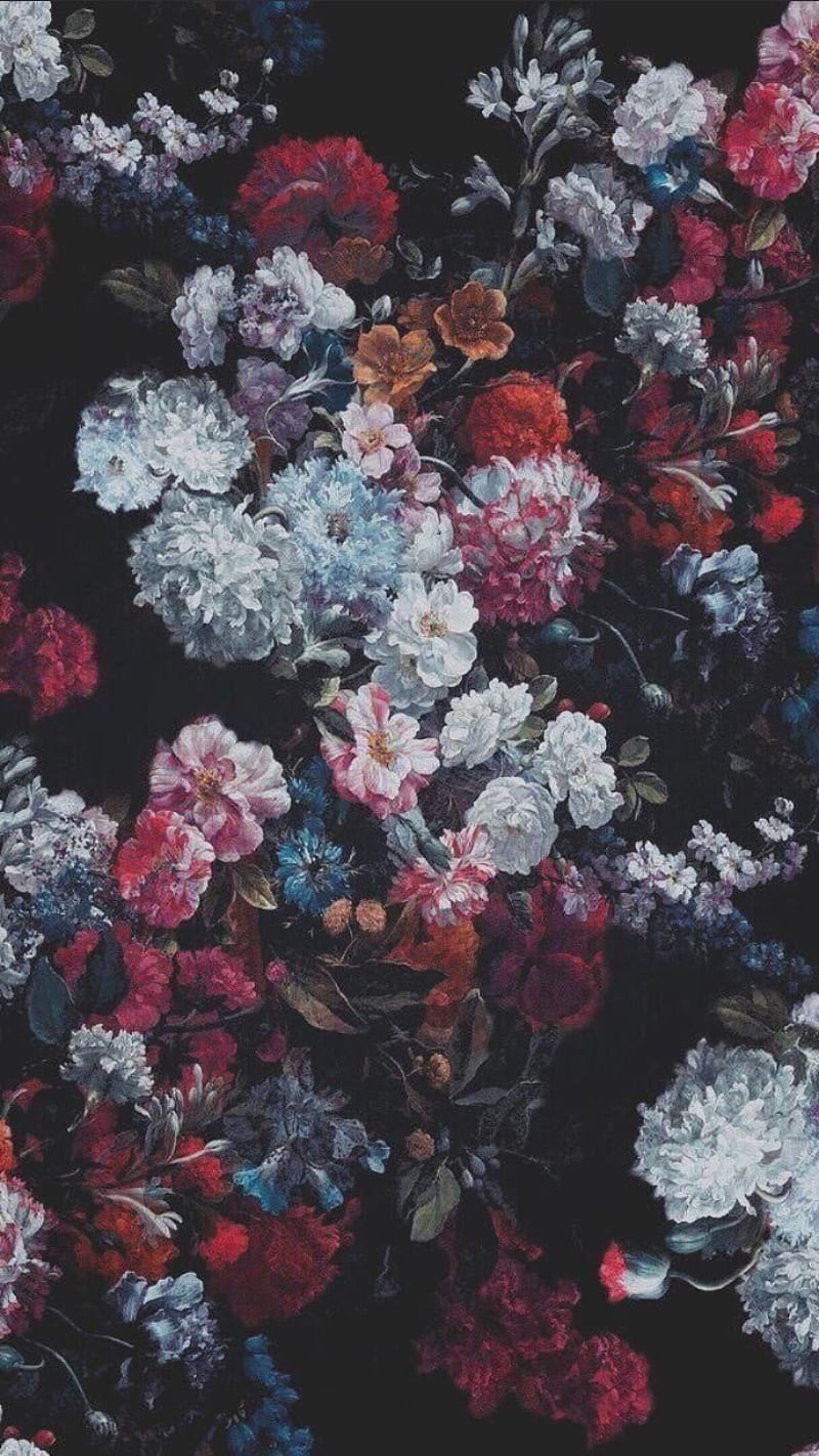 Color rose , tumblr, flowers, coral, grape, splash, flower, grapes, white, red, HD phone wallpaper