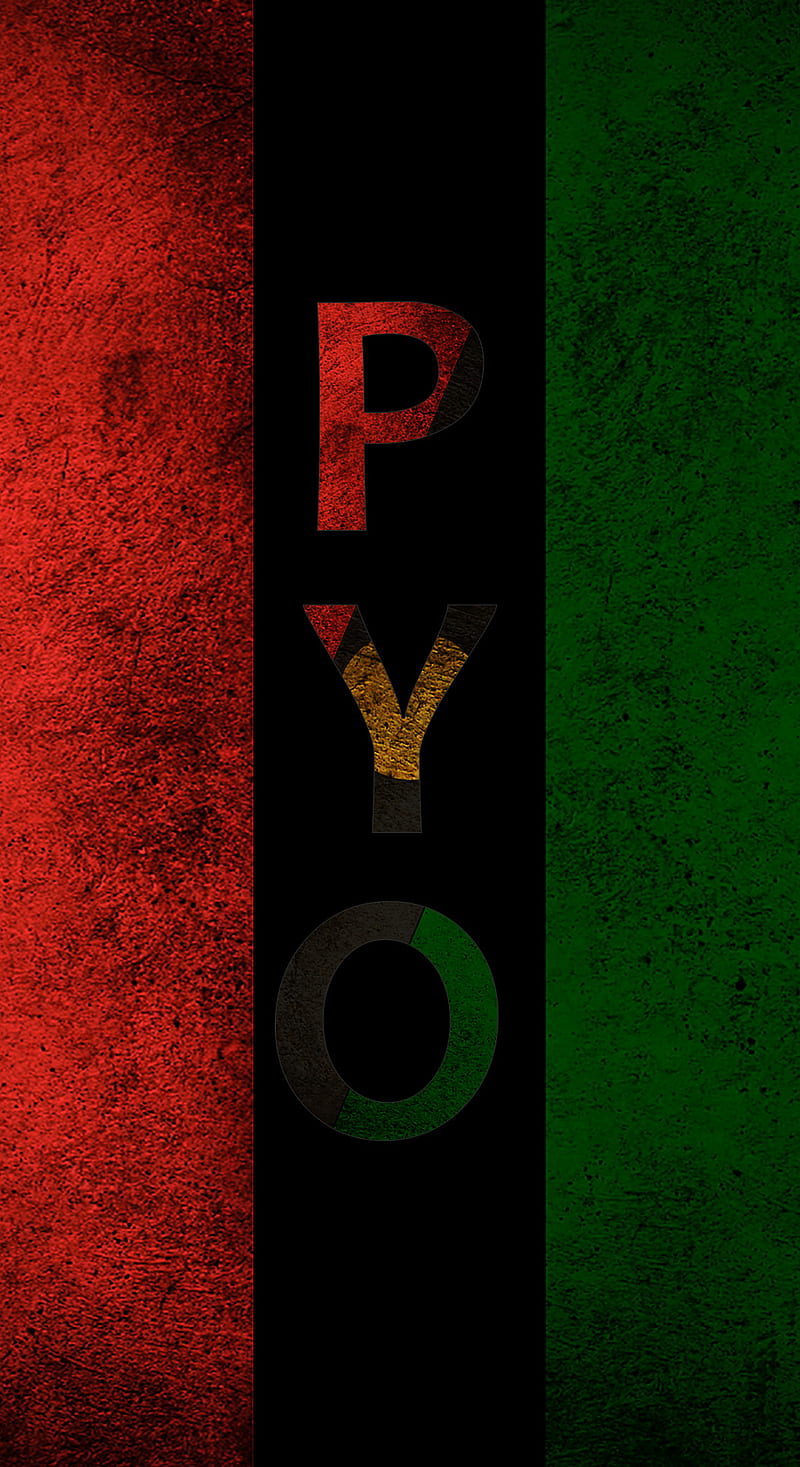 PPP PYO, benazeer, bhutto, bilawal, pakistan, party, youth, zardari, HD phone wallpaper