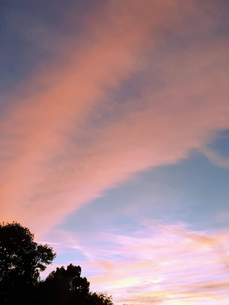Norfolk Sunset, clouds, england, newyear19, sky, sun, sunrise, uk, united kingdom, HD phone wallpaper