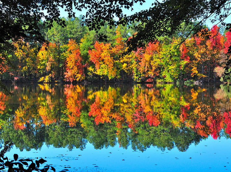 Autumn reflections, colorful, riverbank, shore, bonito, mirrored, nice ...