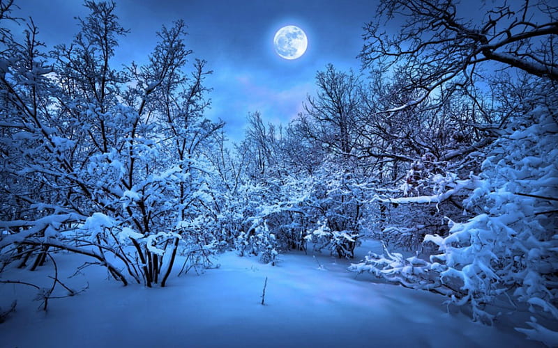 Update 86+ Night Snow Wallpaper Super Hot - In.coedo.com.vn