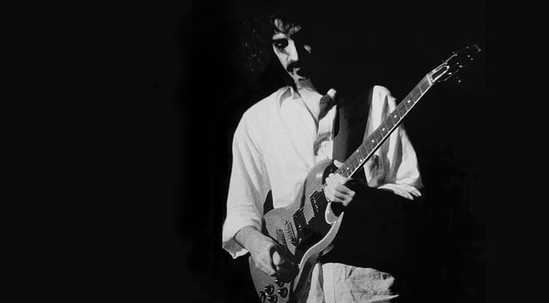Frank Zappa, guitarist, genius, musician, composer, HD wallpaper | Peakpx