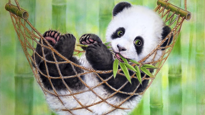 Panda bear in a hammock, bear, panda, hammock, drawing, HD wallpaper