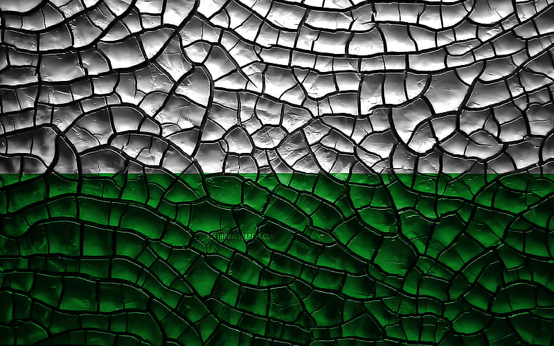 Flag of Saxony german states, cracked soil, Germany, Saxony flag, 3D art, Saxony, States of Germany, administrative districts, Saxony 3D flag, HD wallpaper
