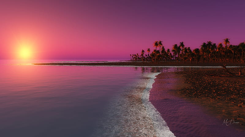 Island Sunset, vacation, dawn, ocean, relax, sunset, sky, palms, palm ...