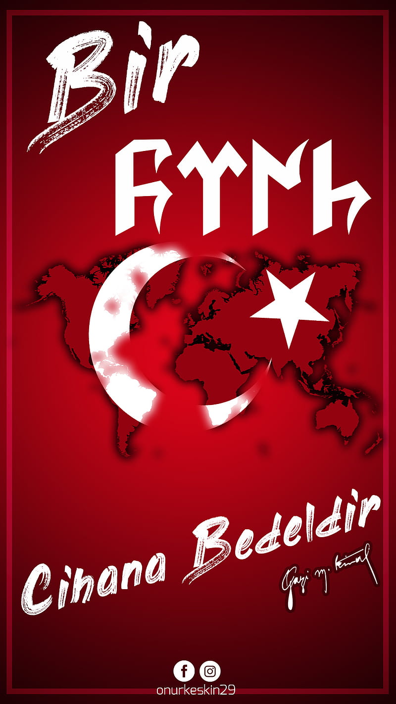 Bir Turk, ataturk, bozkurt, mhp, turkey, turkish, HD phone wallpaper